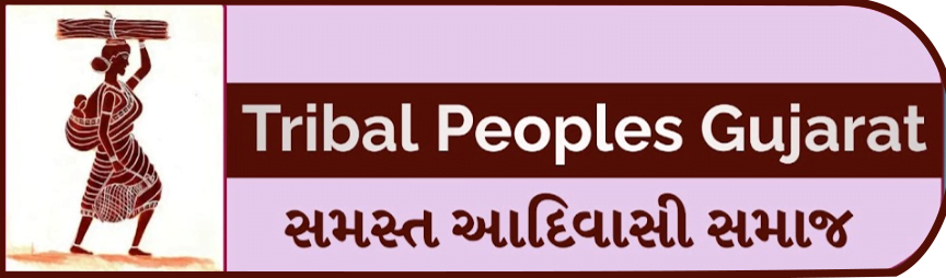 Tribal Peoples Gujarat