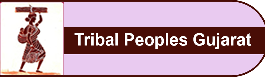 Tribal Peoples Gujarat